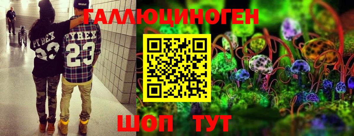 Псилоцибиновые грибы Psilocybe Северодвинск